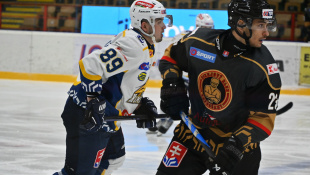 HC 19 Humenné - Topoľčany 1:3