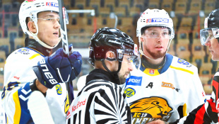 HC 19 Humenné - Levice 6:1