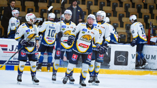 HC 19 Humenné - Levice 6:1