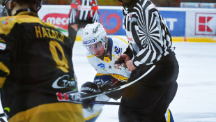 HC 19 Humenné - Levice 6:1