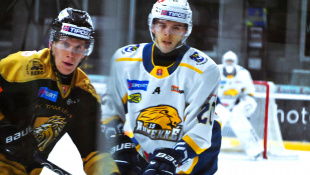HC 19 Humenné - Levice 6:1