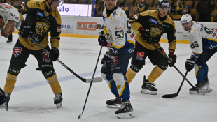 HC 19 Humenné - Levice 6:1
