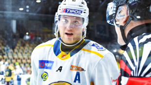 HC 19 Humenné - Levice 6:1