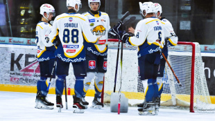 HC 19 Humenné - Levice 6:1