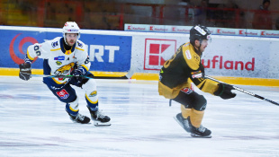 HC 19 Humenné - Levice 6:1