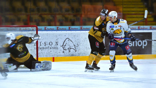 HC 19 Humenné - Levice 6:1