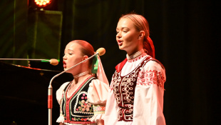Vianoce s kaprom... (vianočný koncert ZUŠ P. Breinera)