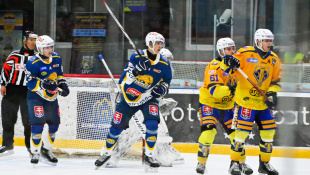 HC 19 Humenné - Trebišov 3:1