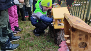 Envirovýchova v praxi... školáci a škôlkari