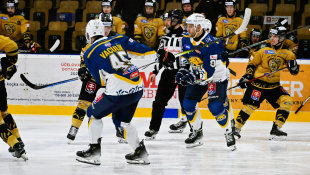 HC 19 Humenné - Levice 2:1