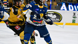 HC 19 Humenné - Levice 2:1