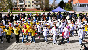 Deň narcisov 2025 - promenádny koncert
