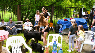 Minifestival starostlivosti a adopcie "Chvost hore"
