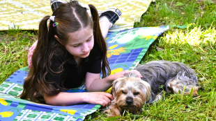 Minifestival starostlivosti a adopcie "Chvost hore"