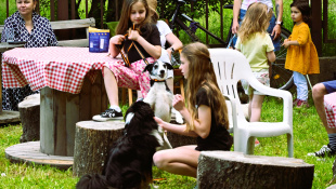 Minifestival starostlivosti a adopcie "Chvost hore"