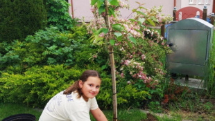 SLOVENSKÝ REKORD reťaze z vyfúknutých vajíčok SADÍ STROMY