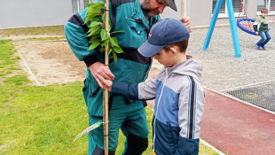 SLOVENSKÝ REKORD reťaze z vyfúknutých vajíčok SADÍ STROMY