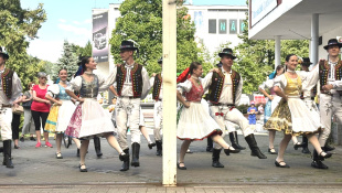 Matičný Daisy fest 2025
