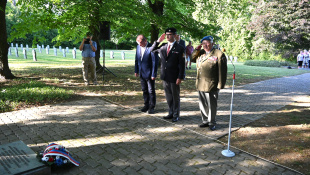 Pietna cesta