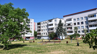 Úprava sídliskovej zelene (Laborecká 10 až 13)