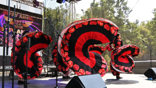 4. Gipsy Fest