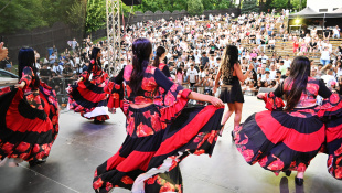 4. Gipsy Fest