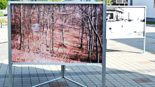 FOTOpotulky 2025: Námestie V. – panelové fotografie pred knižnicou