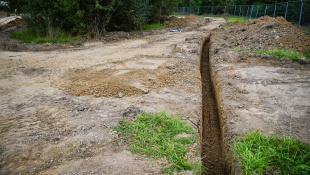 Park Sokolej (práce 36. týždeň 2025)