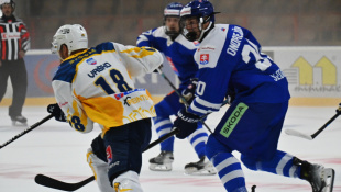 HC 19 Humenné - Slovensko "18" 6:1