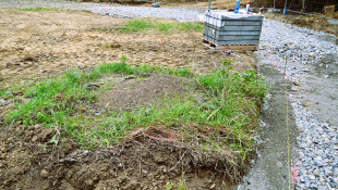 Park Sokolej (práce 39. týždeň 2025)