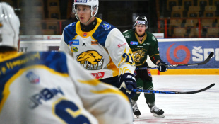 HC 19 Humenné - Levice 3:4