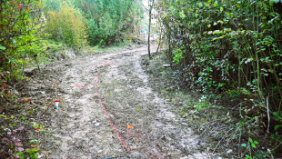 Park Sokolej (práce 40. týždeň 2025)
