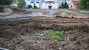 Park Sokolej (práce 40. týždeň 2025)- hniezdisko chráneného mravca lesného