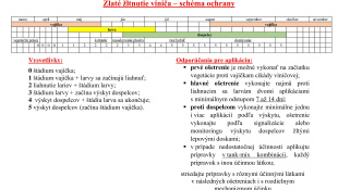 Zlaté žltnutie viniča - Metodické usmernenie