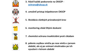 Zlaté žltnutie viniča - stručný návod na ochranu
