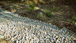 Park Sokolej (práce 41. týždeň 2025)