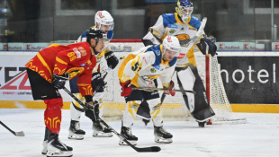 HC 19 Humenné - Topoľčany 6:2