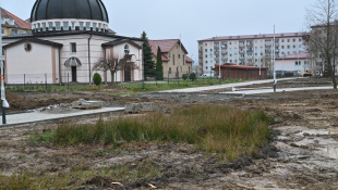Zelená a modrá infraštruktúra (november 2025 / kontrolný deň)