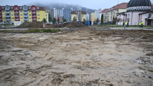 Zelená a modrá infraštruktúra (november 2025 / kontrolný deň)
