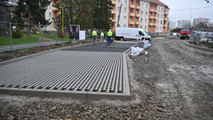 Zelená a modrá infraštruktúra (november 2025 / kontrolný deň)