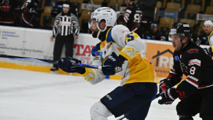 HC 19 Humenné - Trnava 8:3