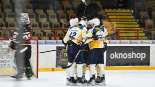 HC 19 Humenné - Trnava 8:3