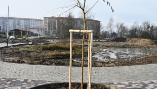 Zelená a modrá infraštruktúra (december 2025, 51. týždeň)