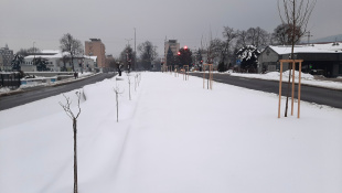 Zelená a modrá infraštruktúra (január 2026)