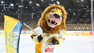 HC 19 Humenné - Detva 5:4