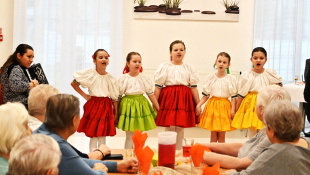 Fašiangy (ZPS Starinská)