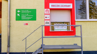 Humenská nemocnica otvorila hniezdo záchrany