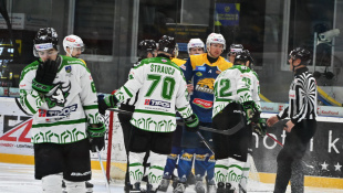 HC 19 Humenné - Nové Zámky 6:3 / štvrťfinále 2