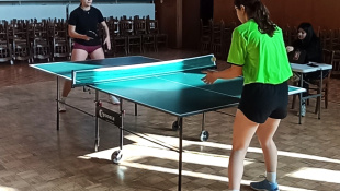 Stolný tenis SŠ / okresné kolo
