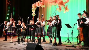 Jarné intermezzo / koncert ZUŠ P. Breinera